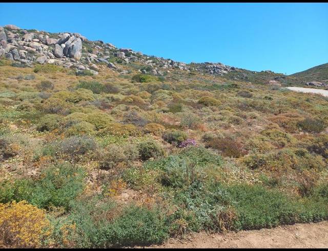 LAND FOR SALE IN ST HELENA VIEWS
